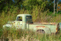 1950_l110.jpg