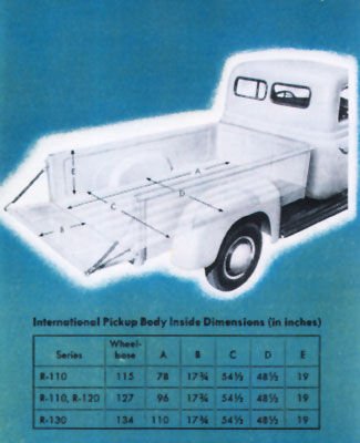 Body Dimensions