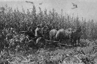 1845 Corn Binder