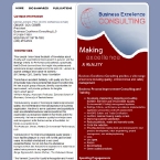 Business Excellence Consulting